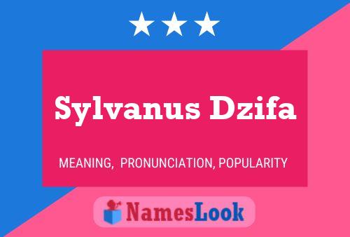 Sylvanus Dzifa Naam Poster