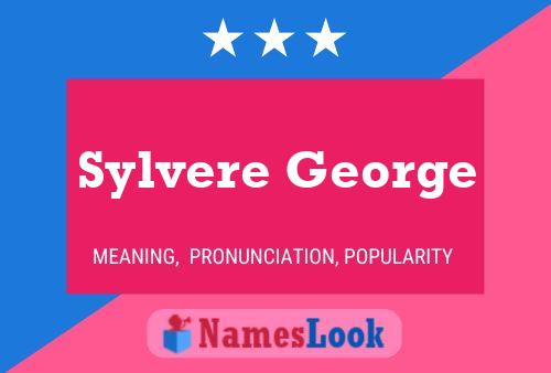 Sylvere George Naam Poster