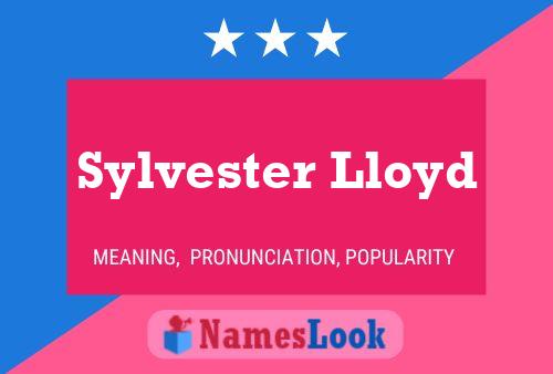 Sylvester Lloyd Naam Poster