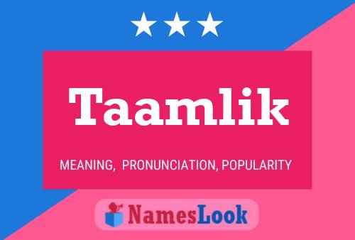 Taamlik Naam Poster