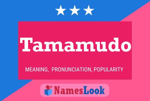 Tamamudo Naam Poster