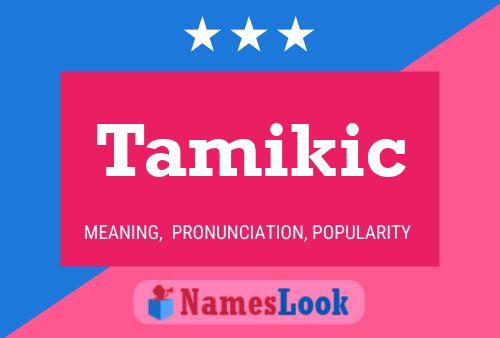 Tamikic Naam Poster