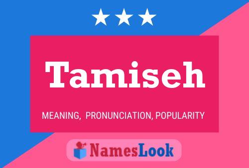 Tamiseh Naam Poster