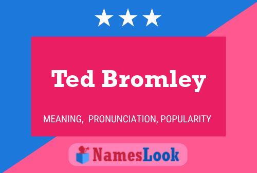 Ted Bromley Naam Poster