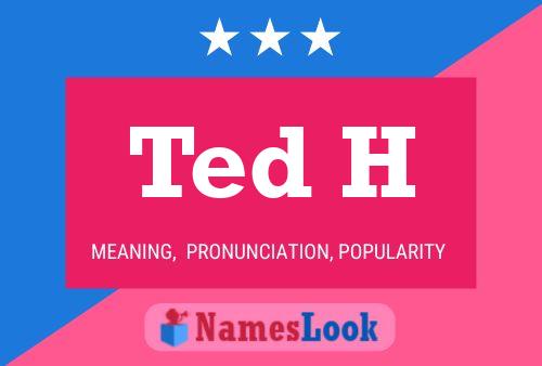 Ted H Naam Poster