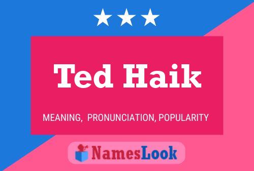 Ted Haik Naam Poster