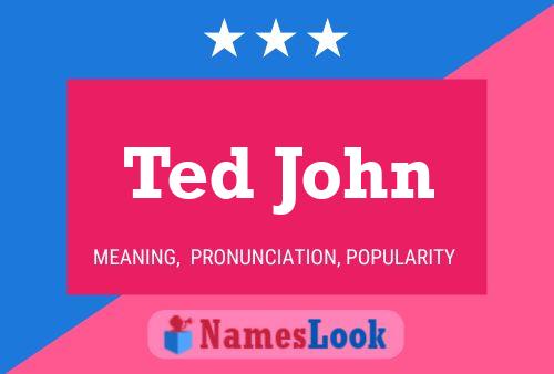 Ted John Naam Poster