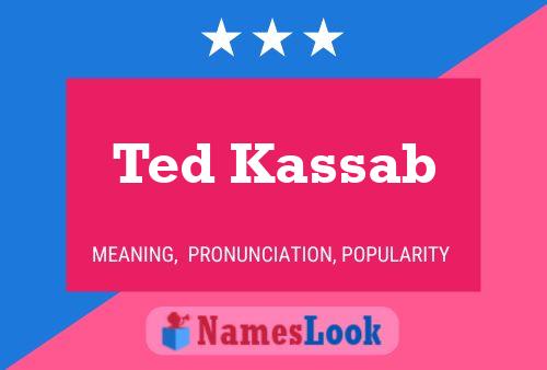 Ted Kassab Naam Poster