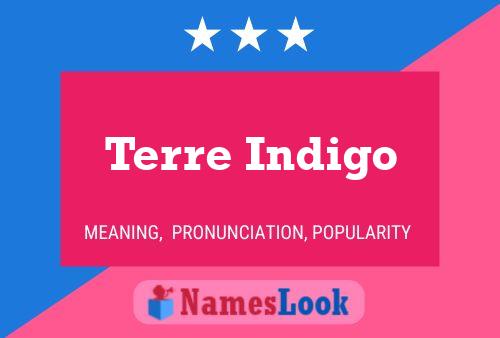 Terre Indigo Naam Poster