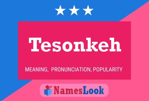 Tesonkeh Naam Poster