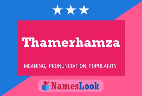 Thamerhamza Naam Poster