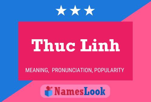 Thuc Linh Naam Poster