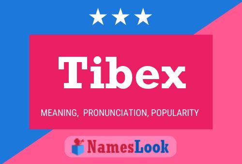 Tibex Naam Poster