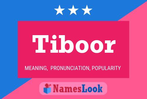 Tiboor Naam Poster