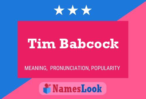 Tim Babcock Naam Poster