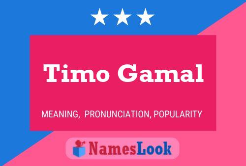 Timo Gamal Naam Poster