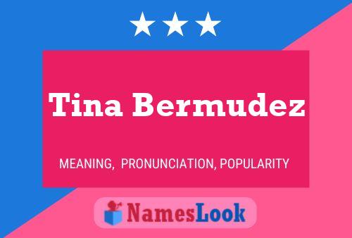 Tina Bermudez Naam Poster