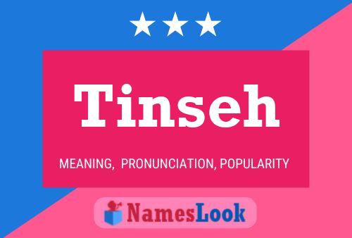 Tinseh Naam Poster