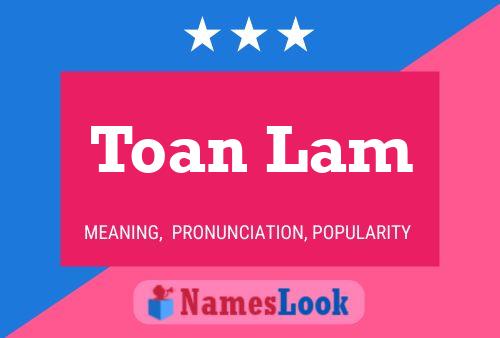 Toan Lam Naam Poster