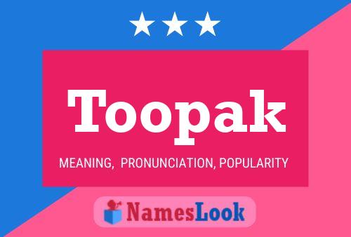 Toopak Naam Poster