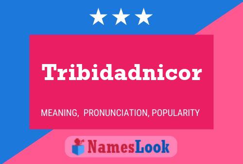 Tribidadnicor Naam Poster