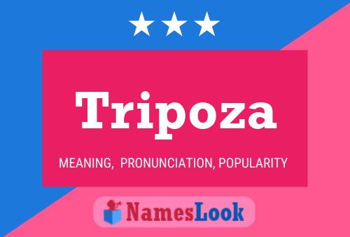 Tripoza Naam Poster