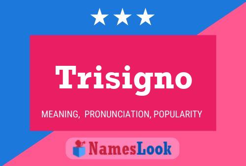 Trisigno Naam Poster