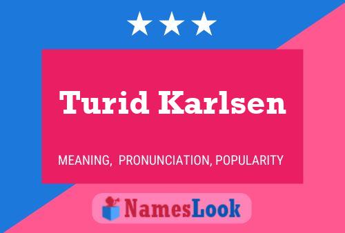 Turid Karlsen Naam Poster