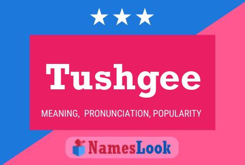 Tushgee Naam Poster