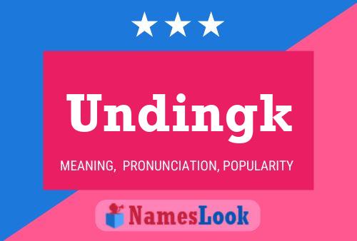 Undingk Naam Poster