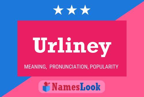 Urliney Naam Poster