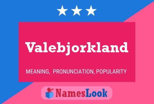 Valebjorkland Naam Poster