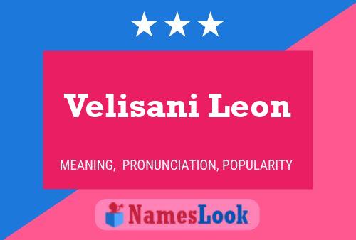 Velisani Leon Naam Poster