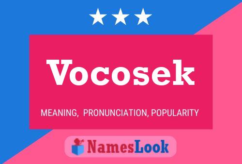 Vocosek Naam Poster