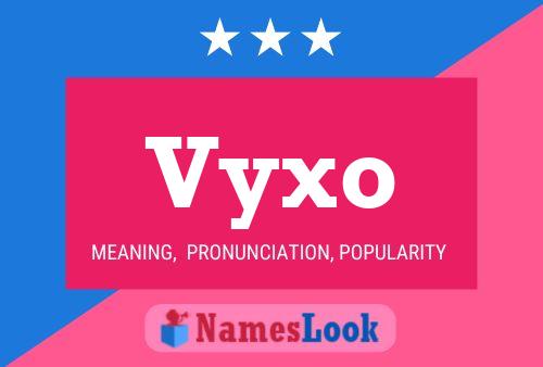 Vyxo Naam Poster