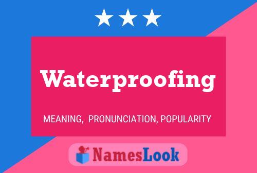 Waterproofing Naam Poster