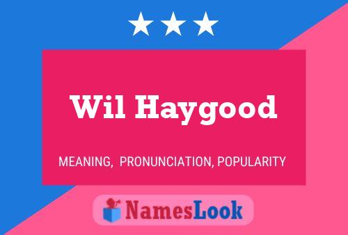 Wil Haygood Naam Poster