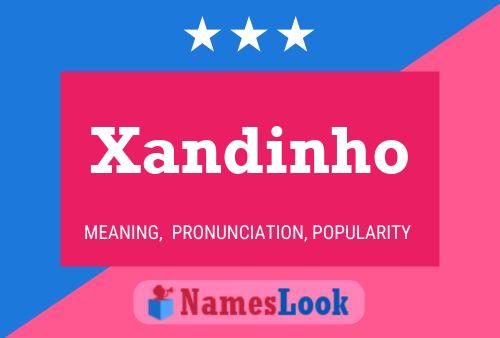 Xandinho Naam Poster