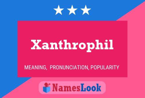 Xanthrophil Naam Poster