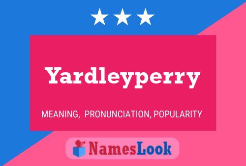 Yardleyperry Naam Poster