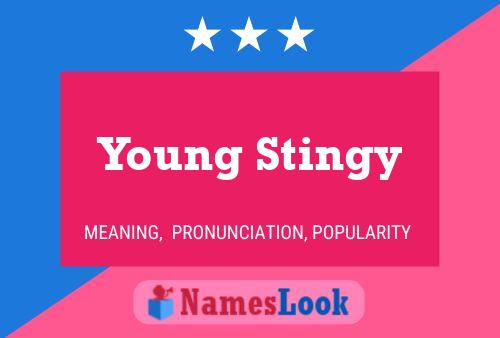 Young Stingy Naam Poster