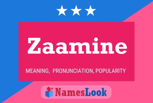 Zaamine Naam Poster