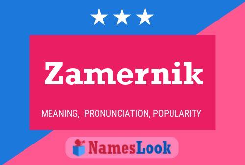 Zamernik Naam Poster