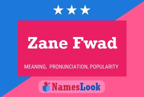 Zane Fwad Naam Poster