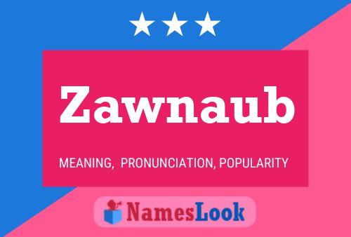 Zawnaub Naam Poster