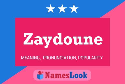 Zaydoune Naam Poster