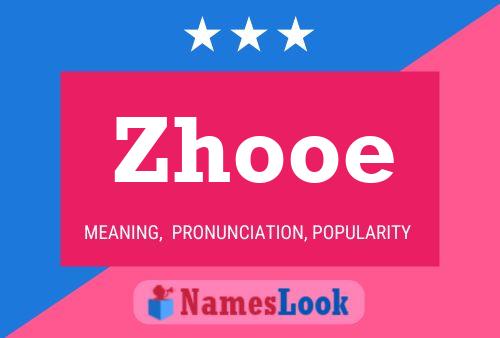 Zhooe Naam Poster