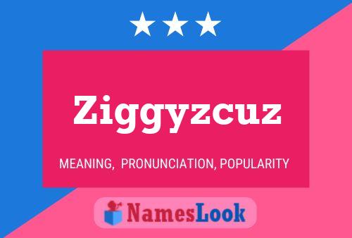 Ziggyzcuz Naam Poster