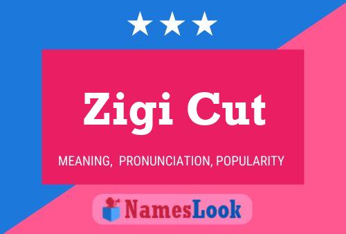 Zigi Cut Naam Poster