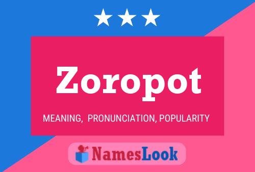 Zoropot Naam Poster